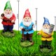 thumbnail image 2 of Set de gnomos de jardín en miniatura JIUMO Fairy Garden Decor 4 piezas, 2 of 9