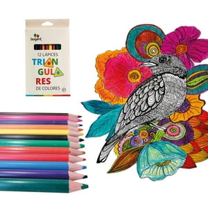 Seigard - Set De 12 Lápices Triangulares Jumbo Colores