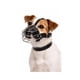 thumbnail image 1 of Bozal Perro Acero y Cuero Talla M (1) Perros 40 a 50 cm, 1 of 10