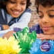 thumbnail image 3 of Kit de cultivo de cristal BBC Earth Science con vitrina y pinturas, 3 of 8