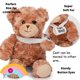 thumbnail image 4 of Oso de Peluche Jolitee 27 cm Pierna/Brazo Roto – Regalo de Mejoras, 4 of 7
