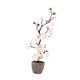 thumbnail image 3 of Flor De Ciruelo Artificial En Maceta, Ideal Para Jardín, Sala De Estar O Cualquier Espacio Del Hogar (blanca)., 3 of 5
