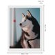 thumbnail image 2 of Kit de Pintura de Diamantes 5D Husky Siberiano Desmarcar 30x40cm, 2 of 6