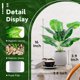 thumbnail image 3 of Plantas artificiales Der Rose, paquete de 2, tropicales para interior, 41 cm, 3 of 8