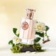 thumbnail image 2 of Perfume Hybrid & Company Shinning Rock 100 ml EDP, 2 of 6