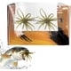 thumbnail image 1 of Señuelo criatura tentáculo plástico blando pesca lubina drop shot wacky rig, 1 of 8