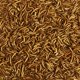 thumbnail image 3 of Alimento para pájaros silvestres Kaytee Mealworms, 0,9 kg, para pájaros azules y pollos, 3 of 8