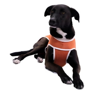 Kimba - Body Tradicional De Cobre Post - Quirúrgico Talla 14 45 A 50Kg Máximo