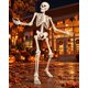 thumbnail image 1 of Adorno Esqueleto Decorativo Halloween Articulado 165 cm, 1 of 8