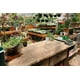 thumbnail image 1 of prueba ss 3, 1 of 2