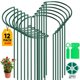 thumbnail image 1 of Estacas de Soporte para Plantas Gicare Paquete de 12, 61 cm de Alto, Media Luna, 1 of 7