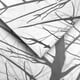 thumbnail image 3 of Juego de Sábanas T144 1 Plaza Forest Grey, 3 of 4