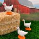 thumbnail image 3 of Set de juguetes Safari Ltd. Farm TOOB con 12 figuras para niños a partir de 3 años, 3 of 7