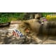 thumbnail image 2 of Pikmin 1-2 - Switch, 2 of 3