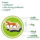 thumbnail image 5 of Imanes de nevera Magdum Farm Family Animals para niños pequeños, 5 of 9