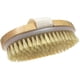 thumbnail image 1 of Cepillo corporal para piel seca Mejora la salud y belleza de la piel Cerdas naturales Eliminan la piel muerta y toxinas Tratamiento para celulitis Mejora las funciones linfáticas Exfolia Estimula la c, 1 of 7