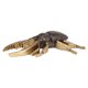 thumbnail image 1 of Figura Decorativa Escarabajo Morocco Grande, 1 of 3