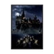 thumbnail image 1 of Cuadro Poster Enmarcado Castillo Hogwarts Harry Potter Diseño 2 Decorativo, 1 of 1