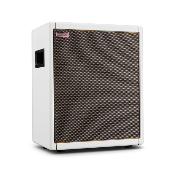 Amplificador eléctrico para guitarra y altavoz Positive Grid Spark CAB
