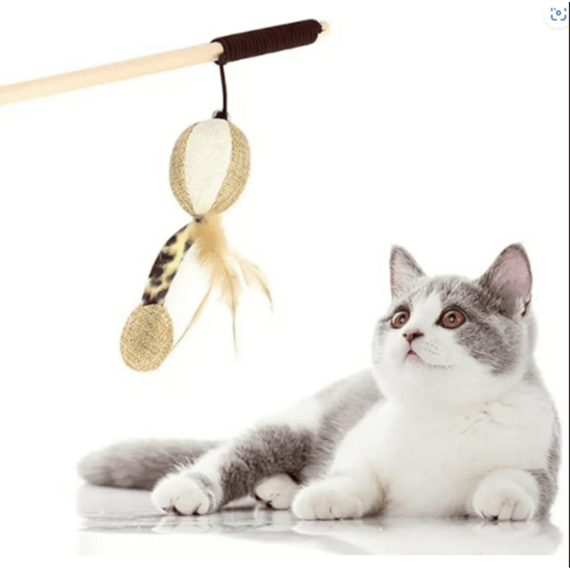 Genérico - Juguete Para Gatos Burlas Palo De Plumas De Suzuki Madera