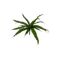 Corel - Helecho Nido De Pajaro 22Cm Artificial