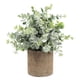 thumbnail image 4 of Planta Suculenta Artificial Falsa En Maceta Mini Plantas En Maceta Decoración De Jardín Para El Hogar Eucalipto, 4 of 5