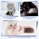thumbnail image 4 of Traje de Recuperación para Gatos Unique Bargains Suave y Transpirable Traje de Cirugía para Gatos Mono para Gatos Después de Cirugías Previene el Lamido de Heridas S Rosa, 4 of 7