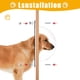 thumbnail image 4 of Ventana para Cerca de Perro FMOACEN 2 Piezas Cúpula Acrílica Transparente 31.5 cm, 4 of 7