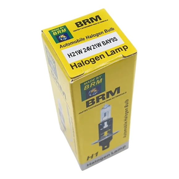 Pack 10 Ampolletas h21 24v 21w