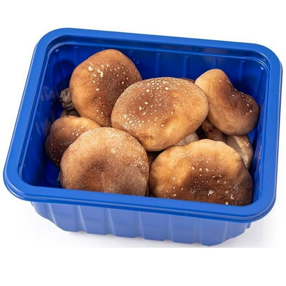 Champiñones Shitake Bandeja, 100 g