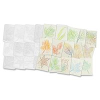 Platos De Frotar Roylco Leaf Design Para Niños Mayores De 3 Años