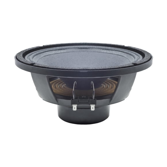 Woofer B&C Altavoces 25 cm 8 Ω 350 W RMS Neodimio