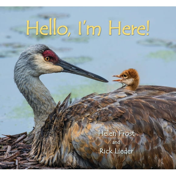Libro Candlewick Press – ¡Hola, estoy aquí! (Da un paso suave, mira de cerca)