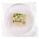 thumbnail image 1 of Plato Biodegradable 25 cm, 20 Un, 1 of 2