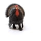 thumbnail image 4 of Figura de juguete Schleich Farm World Turkey Farm Animal para niños, 4 of 6