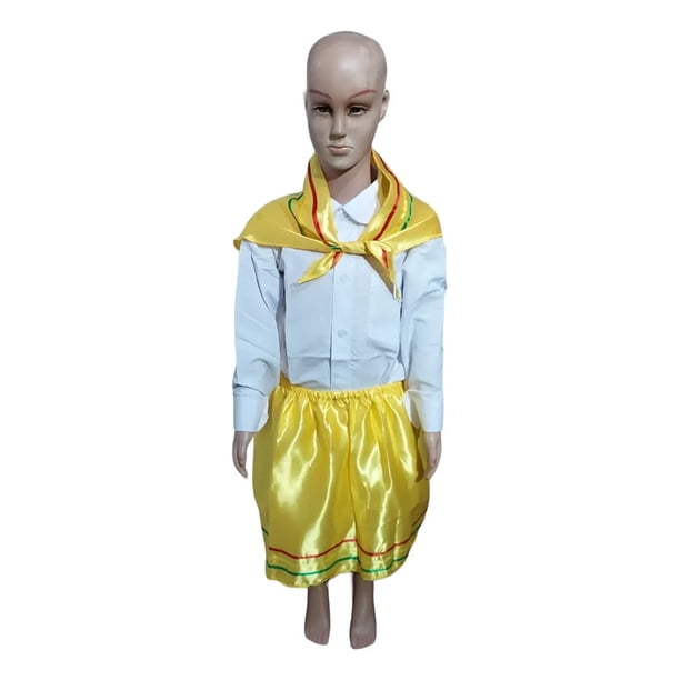 Traje Tipico Nortino Fiestas Patrias Niña Blusa, Falda y Pañoleta