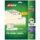 thumbnail image 1 of Etiquetas para carpetas de archivos Avery TrueBlock 750, etiquetas imprimibles, 1 of 7