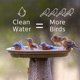 thumbnail image 3 of Limpiador de Agua Microbe-Lift Bird Bath Clear 118 ml, 3 of 5