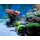 thumbnail image 4 of Carbono Seachem Matrix 1 Litro, 4 of 4