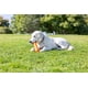 thumbnail image 4 of Juguete Para Perros Super Crunch Fetch Stick Tpr Para Perros De 9 2 Pulgadas, 4 of 7