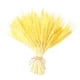 thumbnail image 4 of 100 Piezas De Flor De Oreja De Trigo Real Flores Secas Decoración De Fiesta De Boda Amarillo, 4 of 5