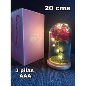 Mundo Eve - Cúpula Rosa Led
