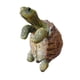 thumbnail image 1 of Tortoise planta de planta ornamento de percha de regalo figurita de tortuga artesanía de tortuga, estatua de tortuga colgante hugger para jardín para, 1 of 5