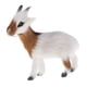 thumbnail image 3 of Simulación Furry Little Goat Modelo Figura Artesanía Hogar Oficina Decoración B, 3 of 5