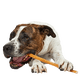 thumbnail image 1 of Bully Stick 30 cm Bug Me, 1 of 3