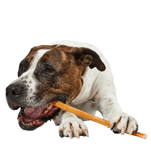 Bully Stick 30 cm Bug Me