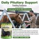 thumbnail image 4 of Suplemento Equino Silver Lining Herbs Apoyo Pituitario 454g, 4 of 9