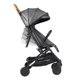 thumbnail image 4 of Coche Paseo Terrain Marengo, 4 of 4