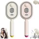 thumbnail image 1 of Cepillo pelo vapor eléctrico 2027 desenredante vaporizador reduce frizz estática, 1 of 8