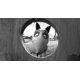 thumbnail image 5 of Película Walt Disney – Frankenweenie, 5 of 9